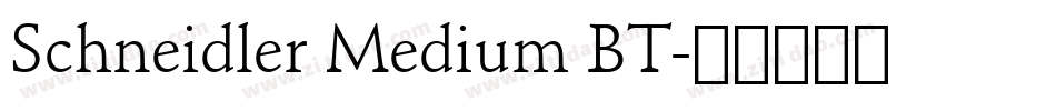 Schneidler Medium BT字体转换